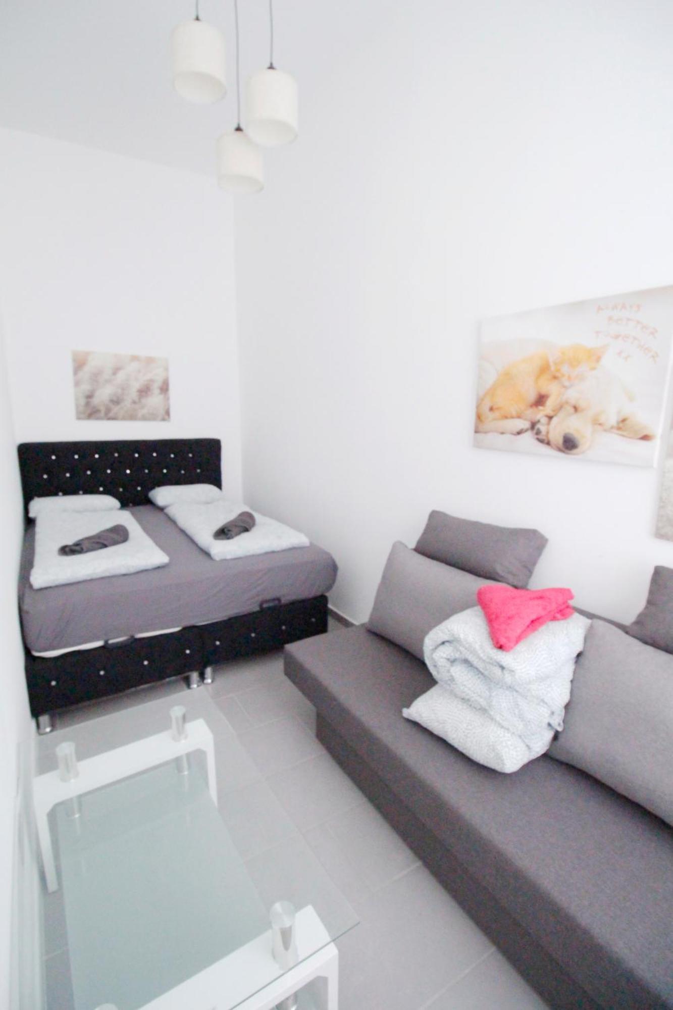Gazde/Camere de închiriat Cozy In Center Dw3 *